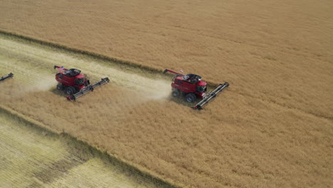 Tres-Cosechadoras-Moviéndose-Juntas-Recogiendo-Grano-Maduro-En-El-Campo