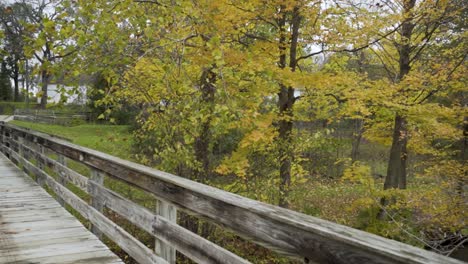 walking across an old wooden bridge looking at trees at wolcott mill metropark in michigan