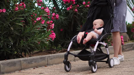 Against-the-backdrop-of-a-blooming-park-in-summer,-a-young-mother-takes-a-leisurely-stroll-with-her-baby-in-a-stroller.-Her-joy-is-unmistakable-as-she-walks-alongside-her-son