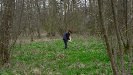 woman bent over gathering leaves from forest floor, wild garlic