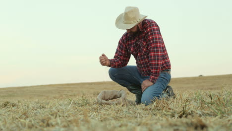 portrait shot of farmer wearing a hat and taking out a handful of grain from a sack and pouring it while checking the harvest in the middle of the field