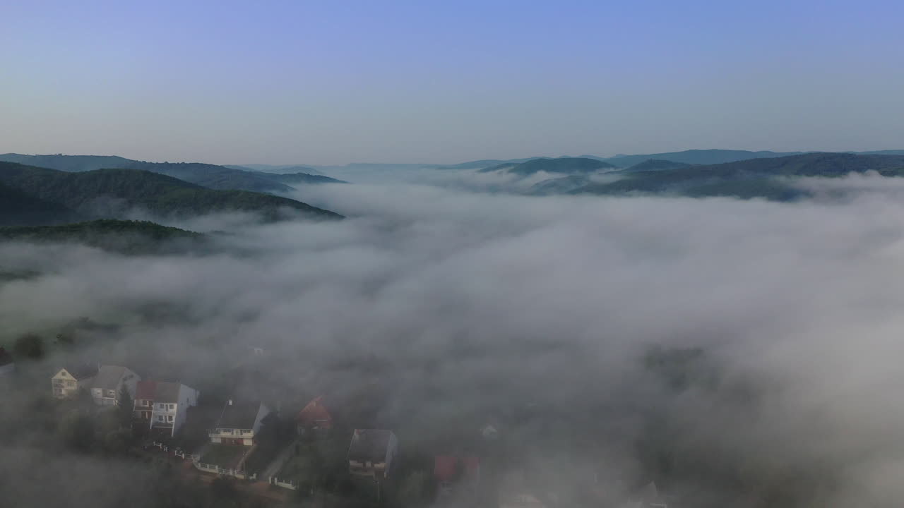 안개 낀 숲의 조감도