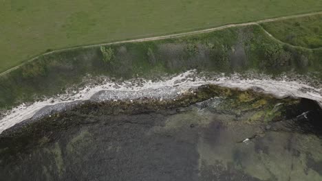 drone-flight-along-some-cliffs-at-the-sea-in-denmark-with-birds