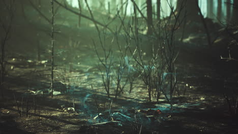 mysterious forest with eerie fog and ghostly figures at dusk