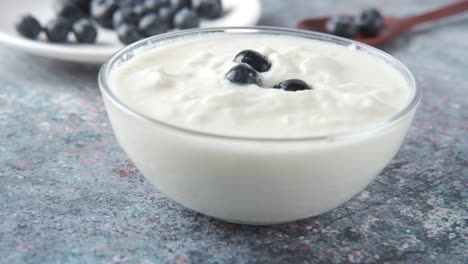 yogurt with blueberries