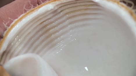 hand grating coconut meat, close up