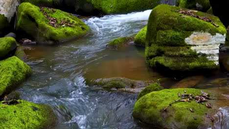 nature little waterfall crystal clear water falling down the rock of mountain stream, wild river rapids with flowing water, peaceful scenic creek in forest, water bubbles