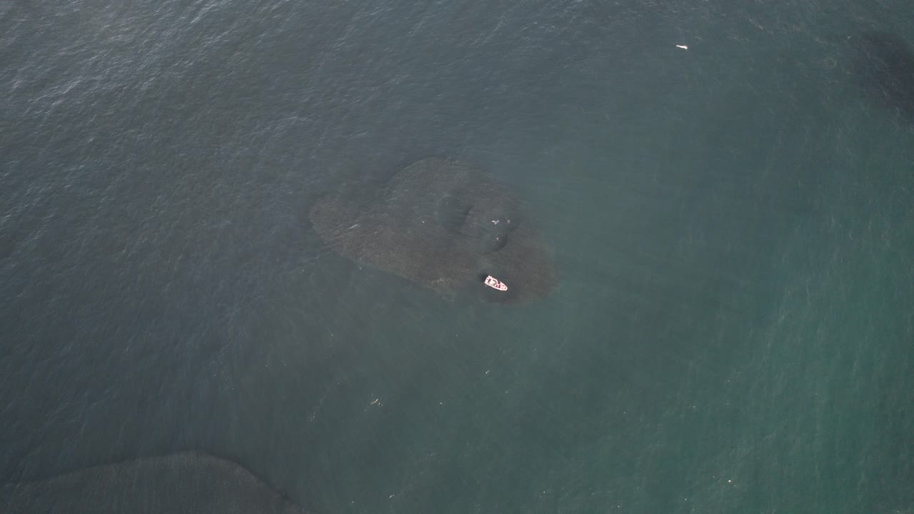 Boat and Divers Surrounded by Huge Sardine Bait ball during Sardine Run in South Africa