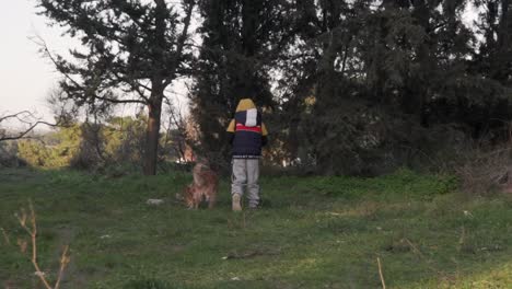 caucasian kid walking along with his pet dog in a forest at parnitha, greece 120fps