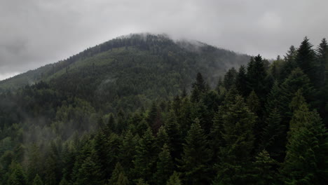 Luftaufnahme-Von-Berghängen-Und-Herbstwald-Im-Nebel