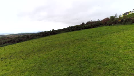 low flying drone shot over a lush green field with birds flying by in donegal ireland