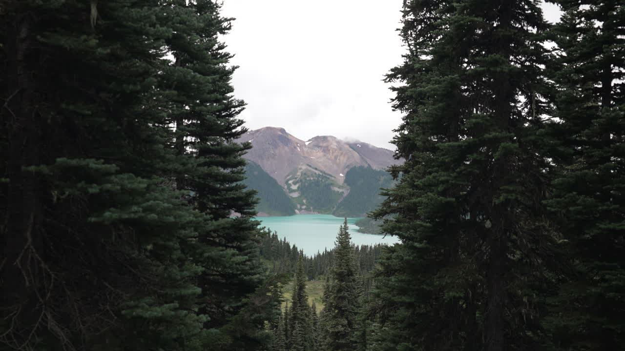 frondosos pinos con el lago garibaldi al fondo en columbia británica, canadá