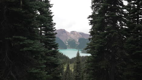 lush pine trees with garibaldi lake at background in british columbia, canada