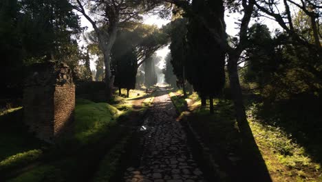 beautiful aerial view above cobblestoned path - via appia antica