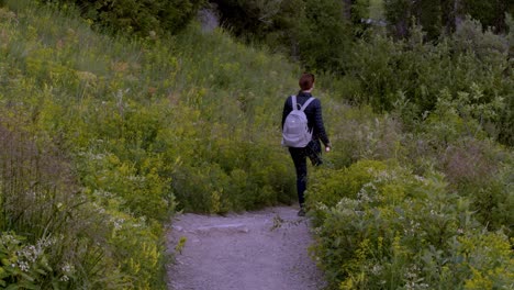 Frau-In-Leichter-Jacke,-Die-An-Einem-Sommertag-Mit-Ihrem-Hund-Spazieren-Geht