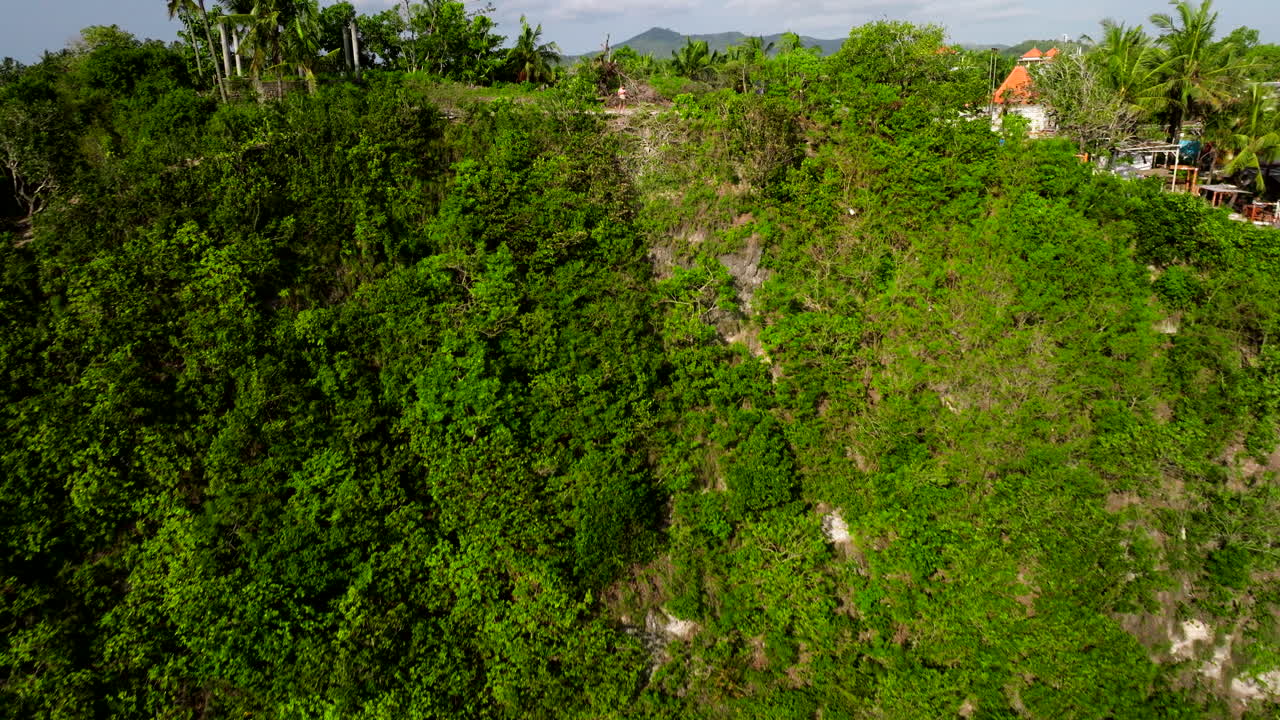 piloto de avión no tripulado, revelación aérea de la vegetación, la arena, la roca y el agua de la laguna
