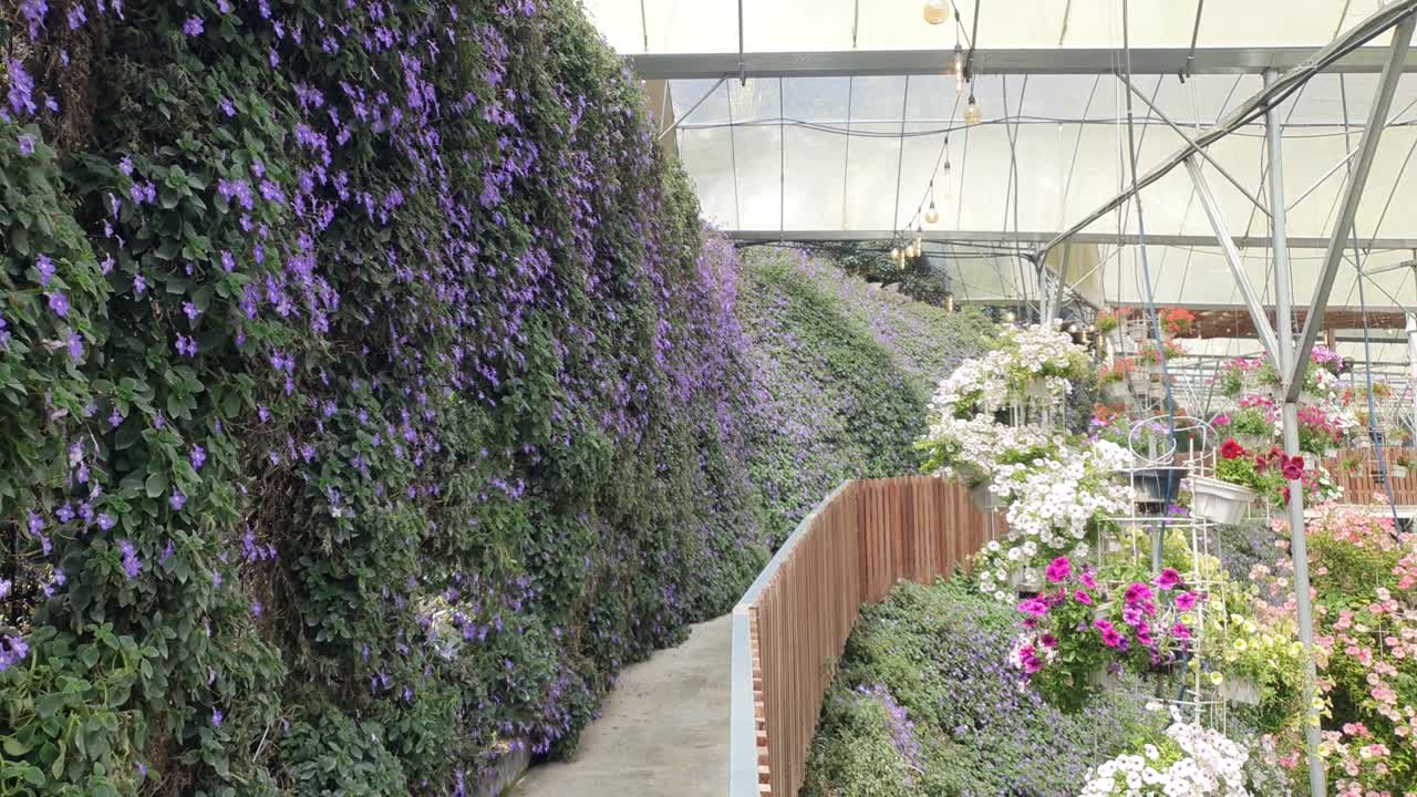 카메론 하이랜드 말레이시아의 아름다운 꽃과 풀