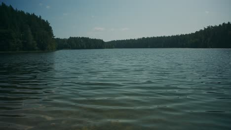 La-Brisa-De-Verano-En-Un-Gran-Lago-Forestal-De-Agua-Dulce-Fluye-Hacia-La-Costa-Poco-Profunda