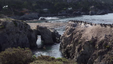 tilt: coastal view of fog rolling over the mountains with birds perched on rocky formations in the ocean