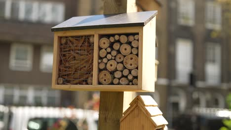 Slow-motion-shot-of-bees-house