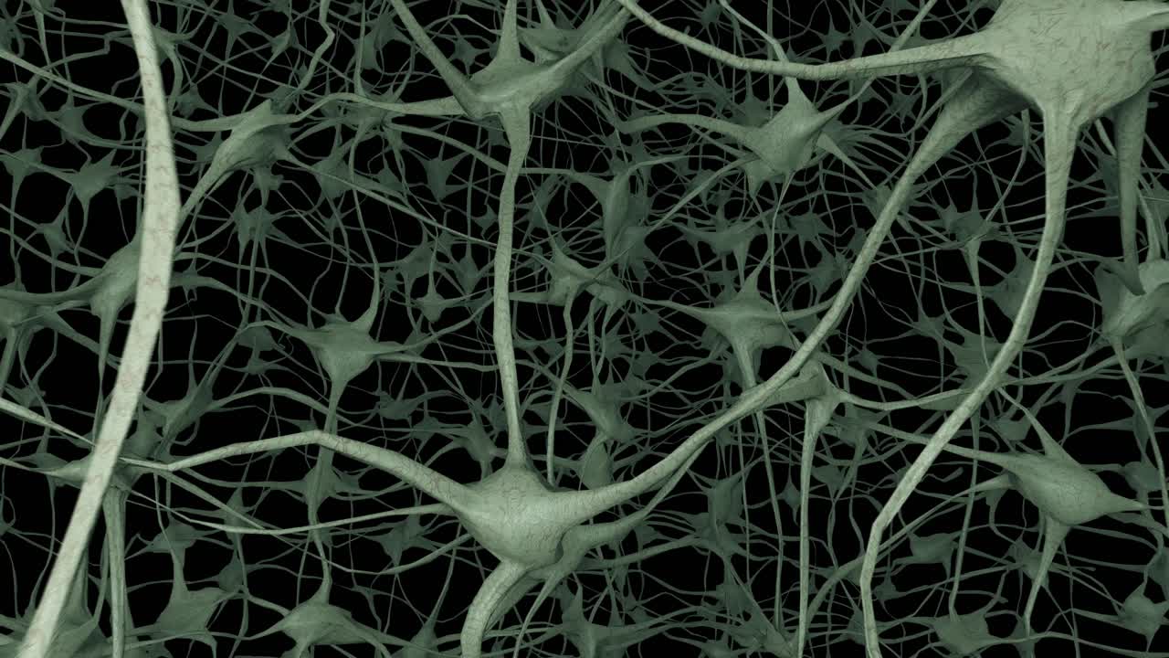 neuronas cerebro mente axón pensamiento red neuronal dendrita célula ciencia de la salud 4k