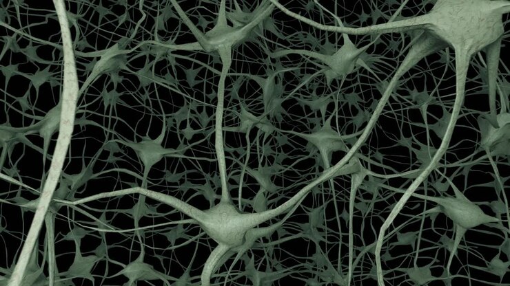 Neurons brain mind axon thought neural network dendrite cell health science 4k
