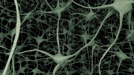 neuronen, gehirn, geist, axon, denken, neuronale netzwerke, dendrite, zellen, gesundheit, wissenschaft, 4k.