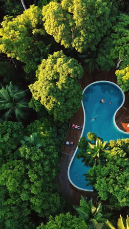 aerial view of tropical resort pool with people relaxing