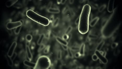 células de bacterias generadas digitalmente que fluyen contra un fondo negro