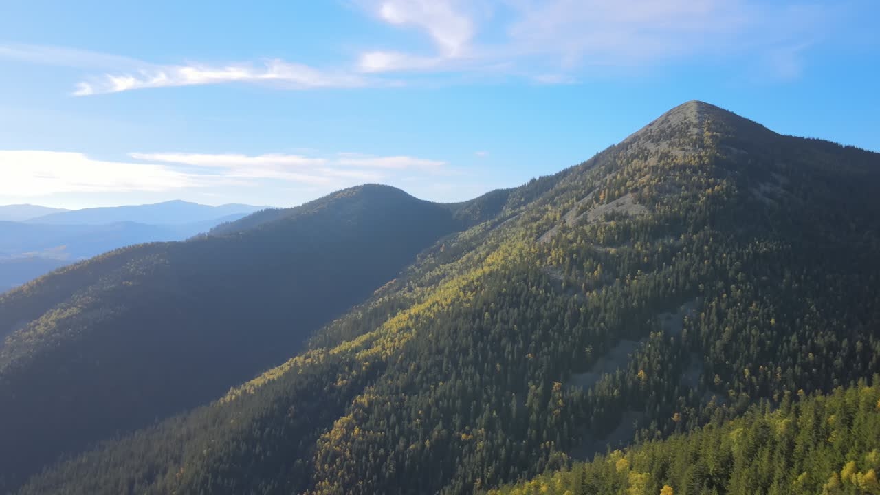 가을 밝은 날에 어두운 소나무 숲 나무와 함께 언덕의 공중 풍경. 야생 산 숲의 아름다운 풍경