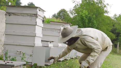 honey production.