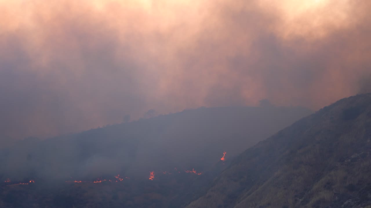 Grande colonna di fumo da un incendio boschivo