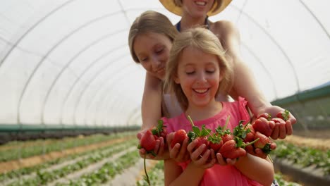 girls holding strawberries in the farm 4k