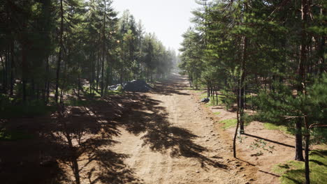 Sendero-Colorado-Entre-Los-Pinos-Con-Las-Montañas