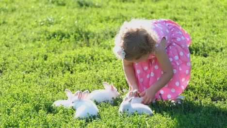a cute little girl is playing with a white hare in the garden