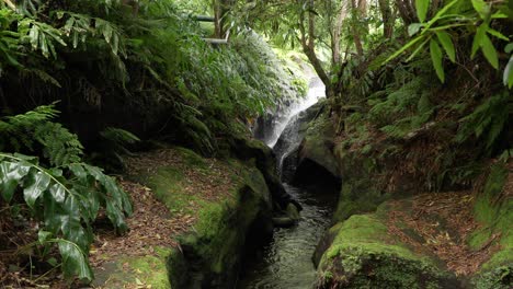 Bach-Fließt-Und-Plätschert-Auf-Felsen-Im-Tropischen-Wald