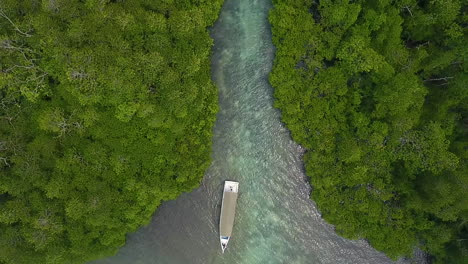 mangrove-forest-islands