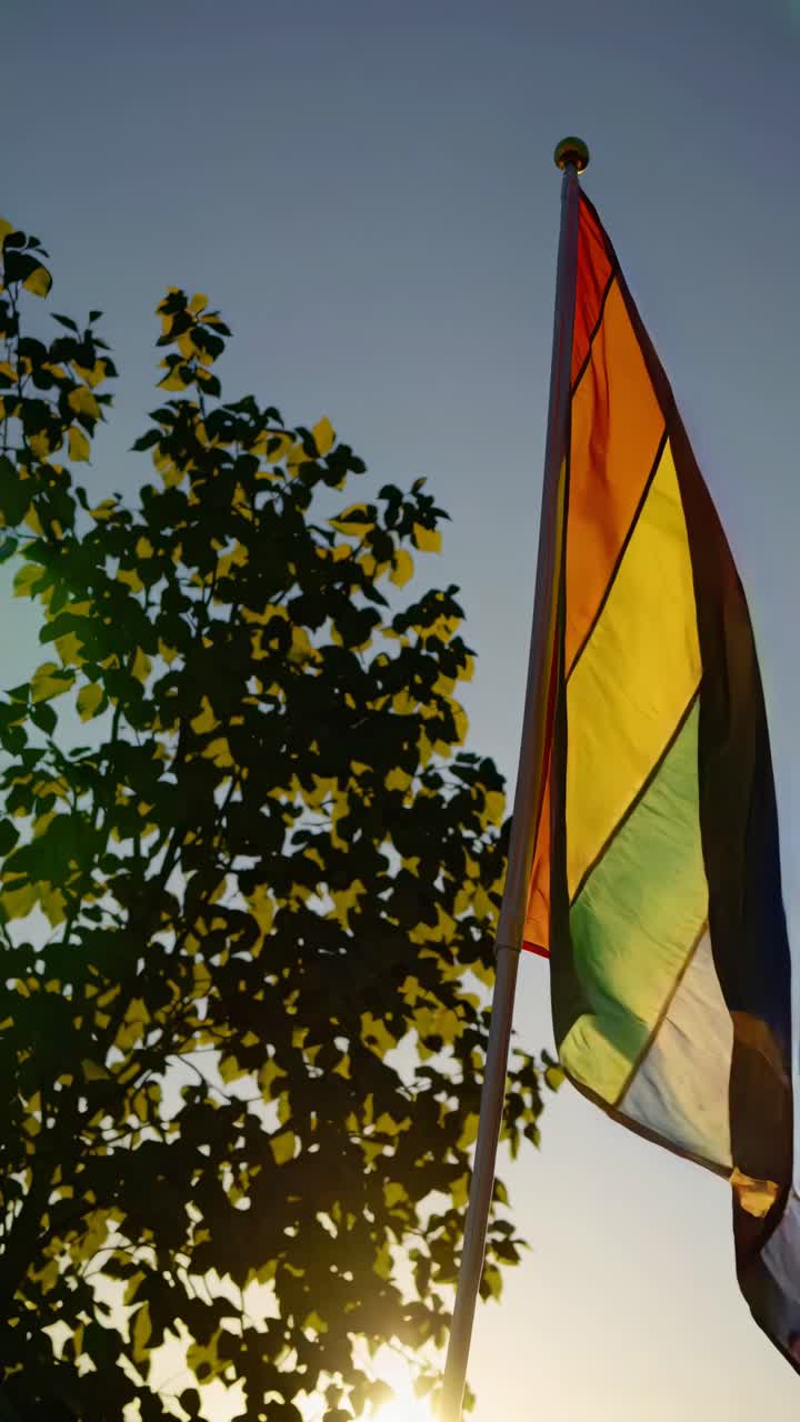 Inquadratura dal basso di una bandiera arcobaleno che sventola accanto a un albero con un cielo terso, catturando un’immagine vivace