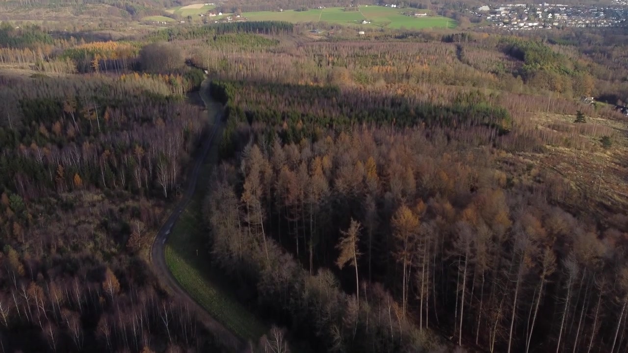 Luftfoto af en efterårsskov, landligt landskab, bakker og en landsby i det fjerne
