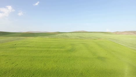 blue sky green grassy land drone aerial view