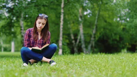 attractive female student reading a book in the park sitting on the lawn hd video