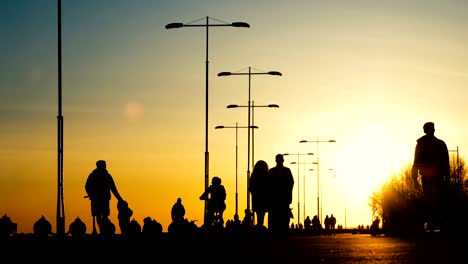 silhouettes of young guys riding on bicycles, skateboards, roller skates in a park at sunset