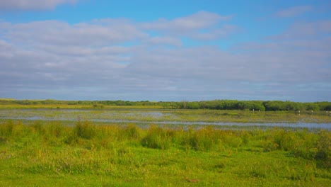 Paisaje-De-Marismas-En-Un-Día-Soleado,-Pan-A-La-Izquierda