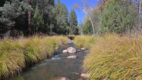 Bach-Fließt-Aus-Einem-Wald-In-Payson,-Arizona