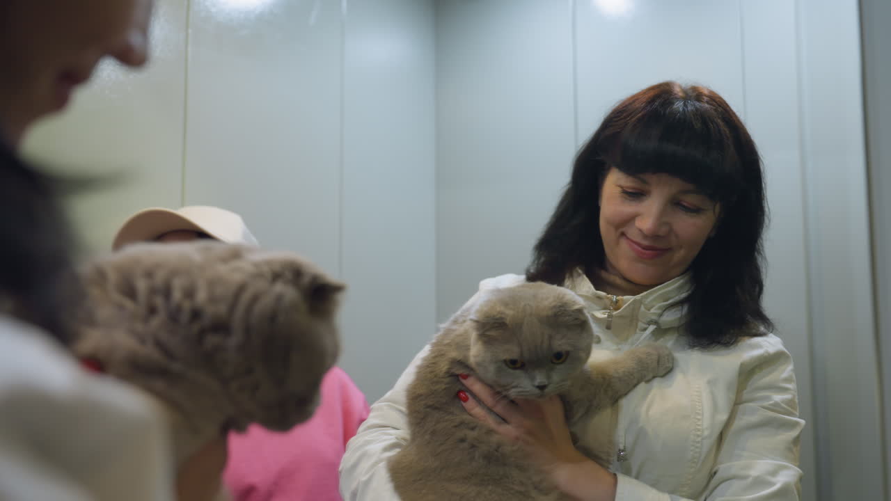 Woman Stands Beside Her Young Pet And Child, Woman Is Positioned Near Her Young Animal And Offspring Group, Woman Remains Close To Her Small Animal Companion And Juvenile Offspring In Scene