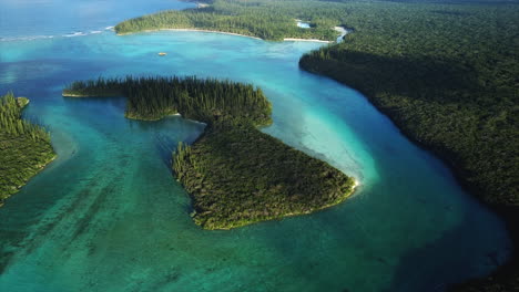 inclinación aérea lenta hacia arriba que revela el horizonte, pequeñas islas de oro bay, isla de pinos