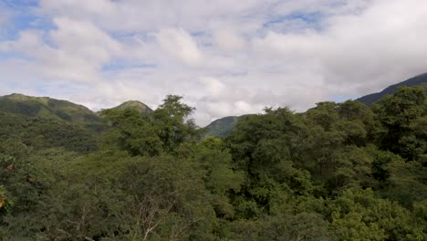 Aerial-image-advancing-over-dense-jungle,-revealing-the-Andes-mountain-range-in-the-background,-in-the-region-of-Salta,-Argentina