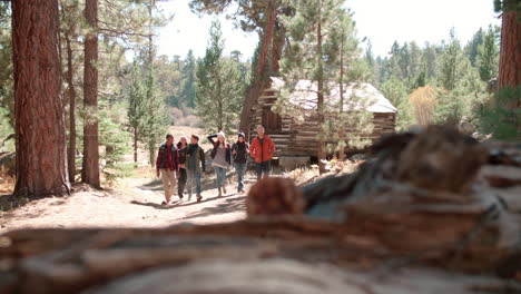 six friends walk past log cabin in a forest towards camera