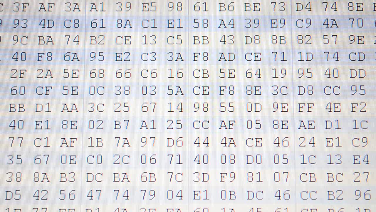 Program code. Code on the monitor, binary. Hexadecimal program code on screen. Animated background of moving binary code numbers