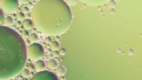 animación de burbujas que se mueven sobre un fondo verde con espacio de copia
